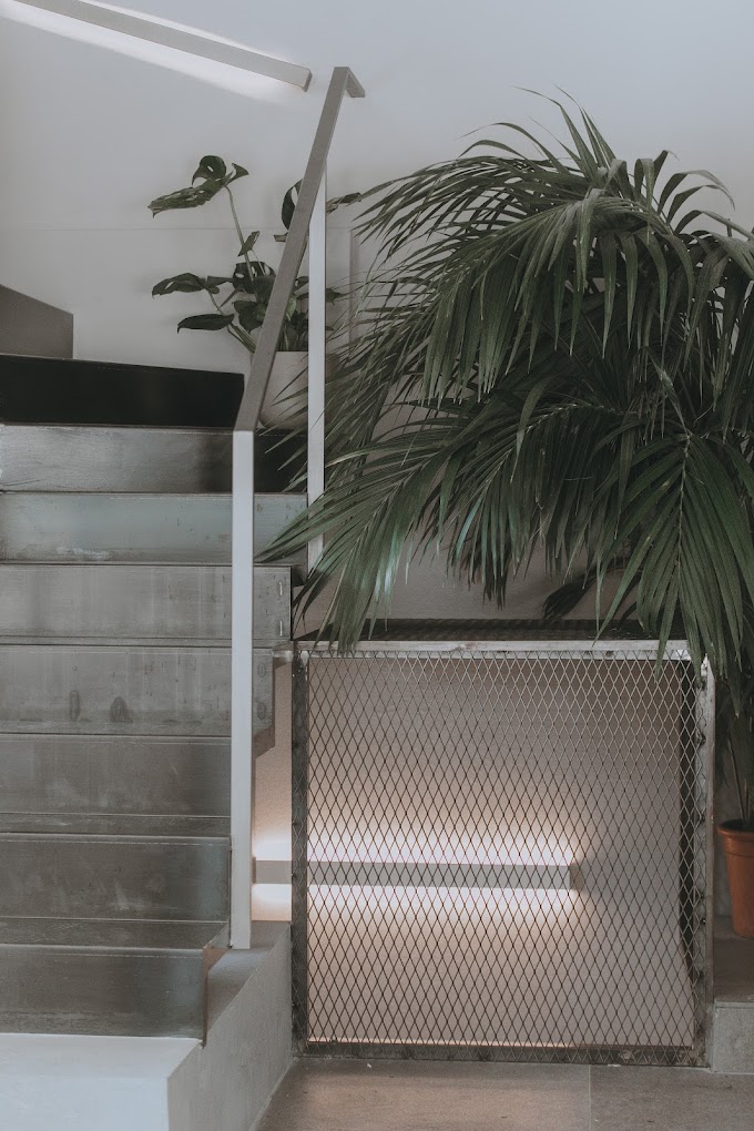 Philia Gallery Image