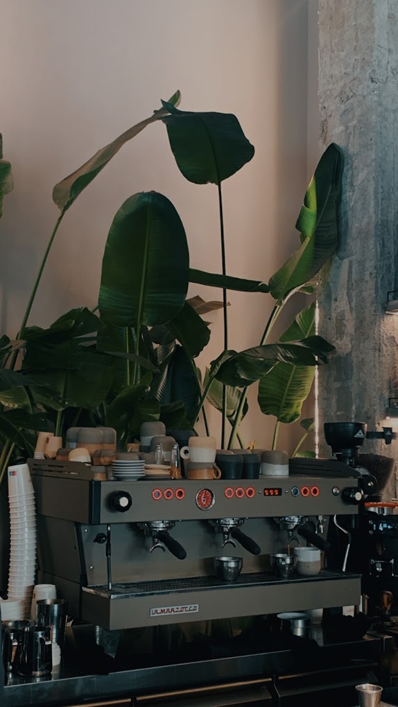 Philia Gallery Image